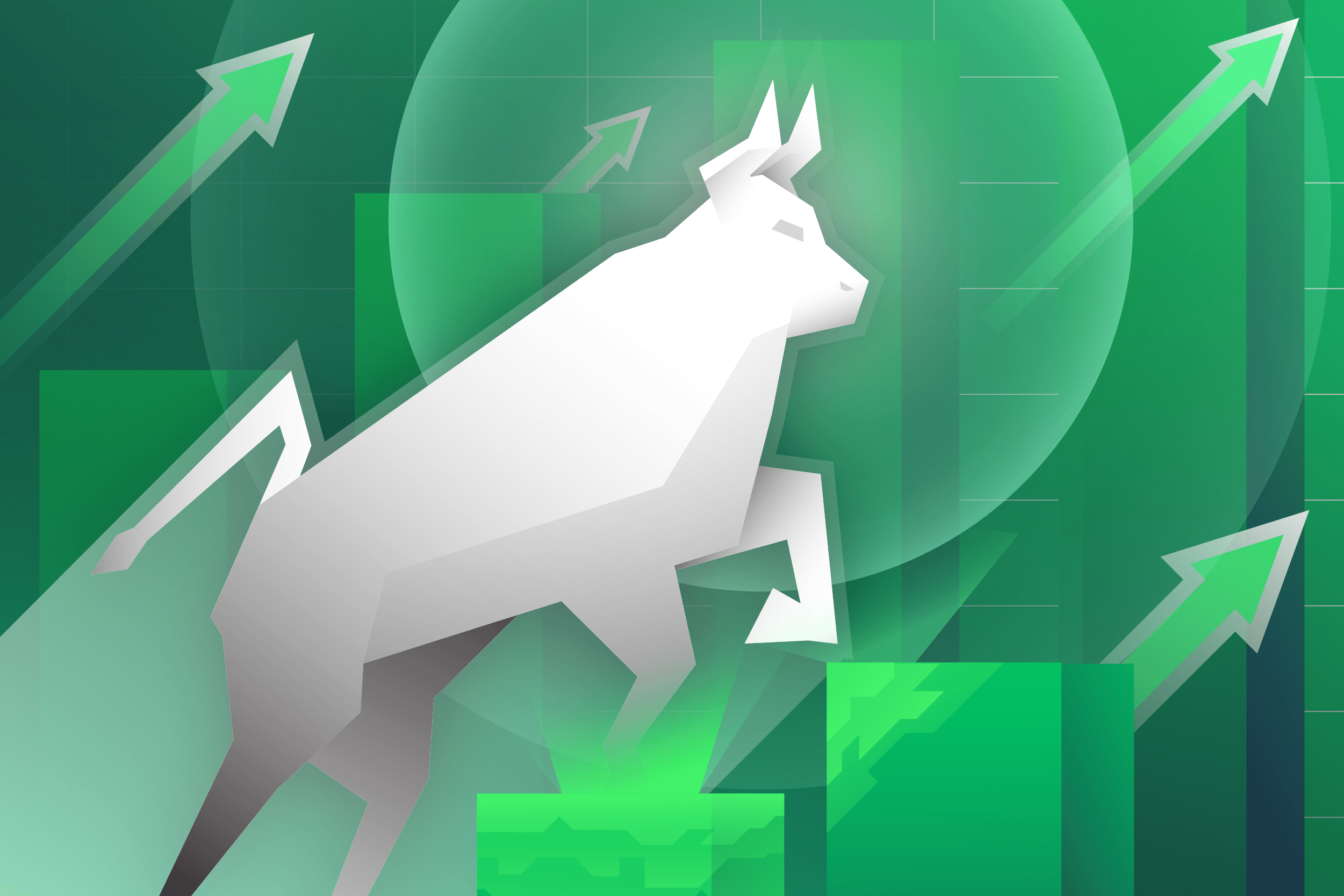 What is a Bullish Market?
