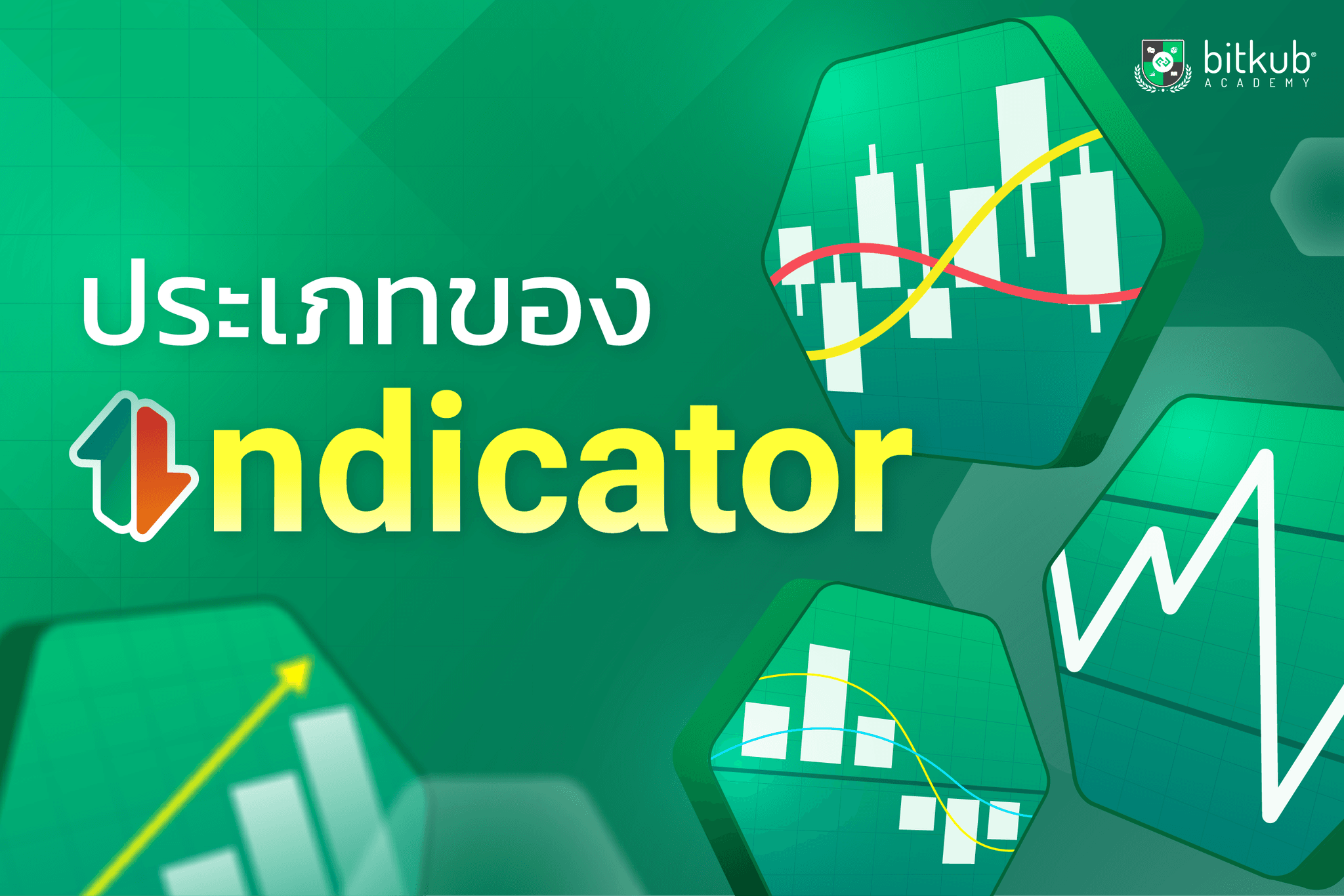 Types of Indicators Bitkub Academy