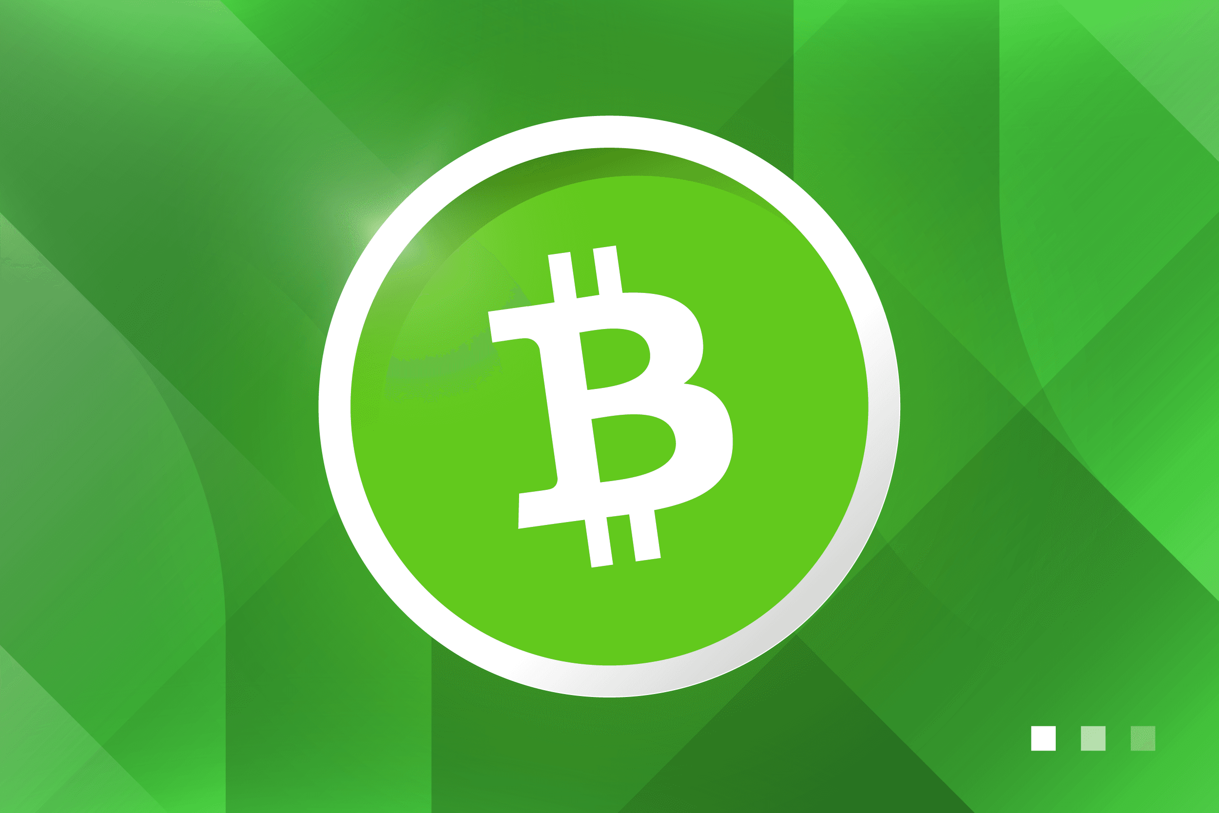 What is Bitcoin Cash (BCH)?